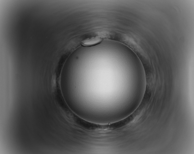 X0000090490213200707201543
