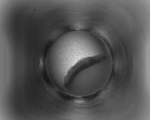 X0000090490214200707201543