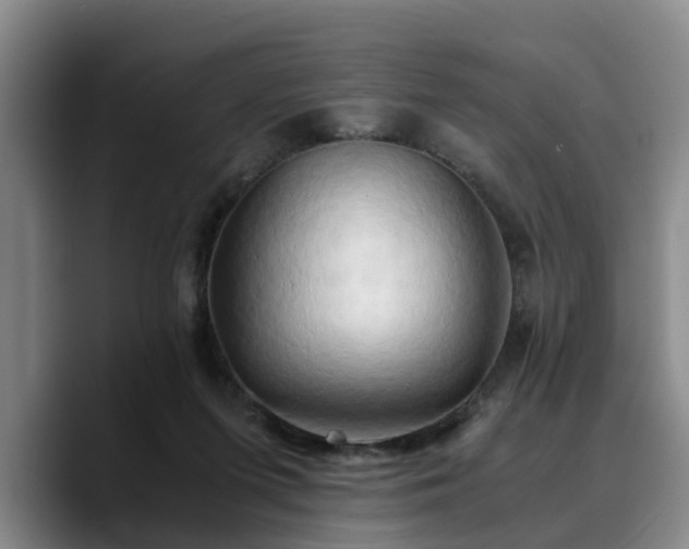 X0000090490215200707201543