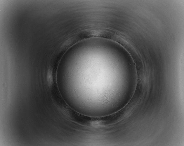 X0000090490216200707201543