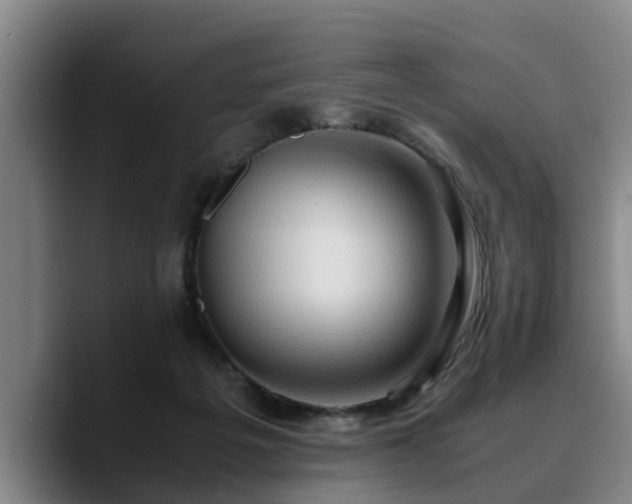X0000090490217200707201543