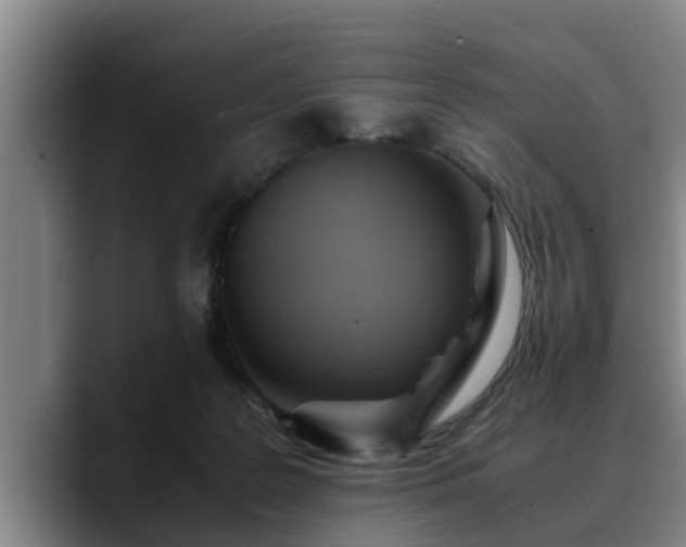 X0000090490219200707201543
