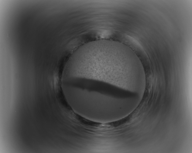 X0000090490222200707201543