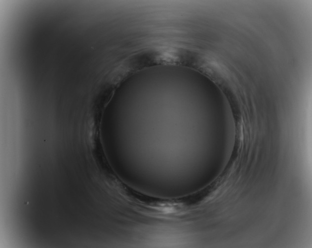 X0000090490223200707201543