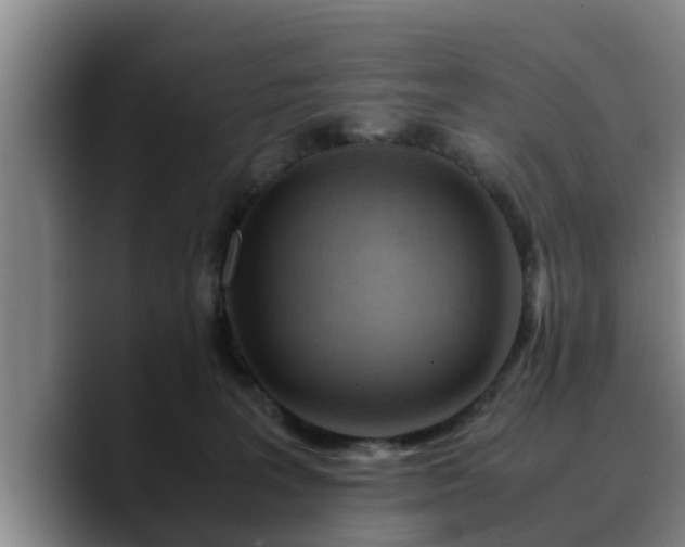 X0000090490227200707201543