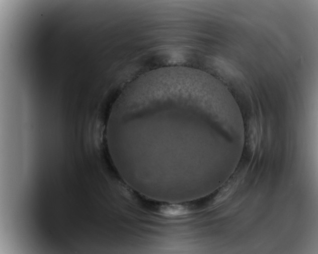 X0000090490230200707201543