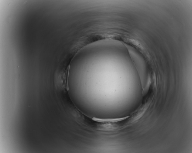 X0000090490237200707201543