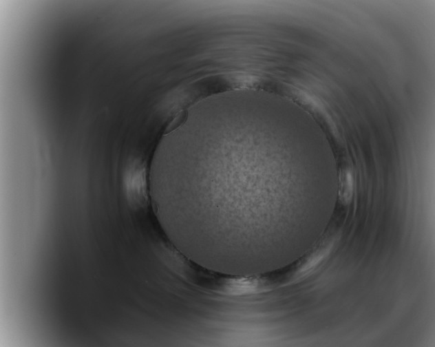 X0000090490238200707201543