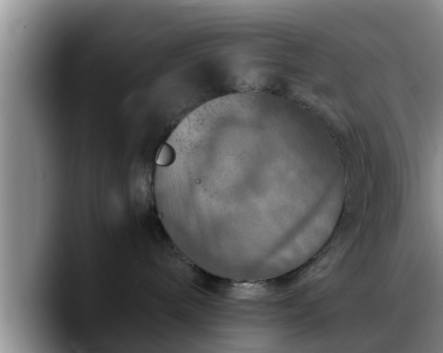 X0000090490240200707201543