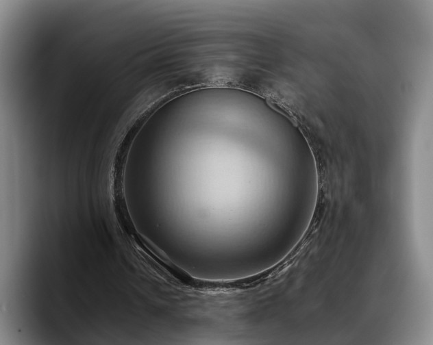 X0000090490242200707201542
