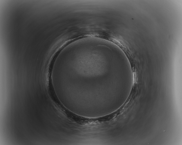 X0000090490243200707201542