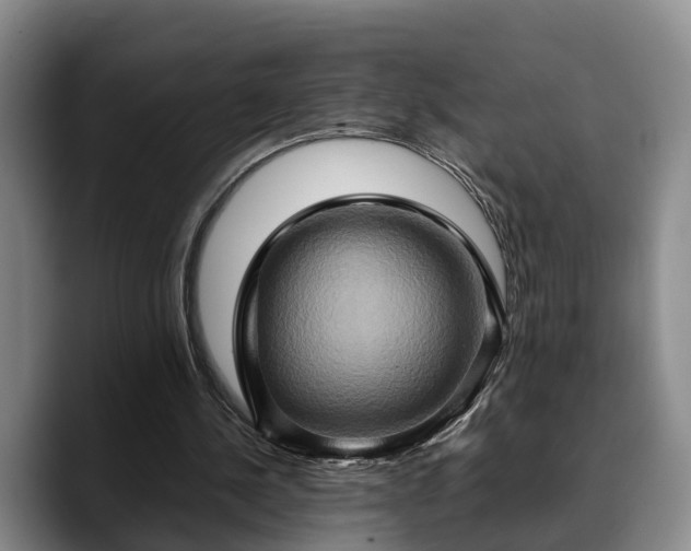 X0000090490244200707201542