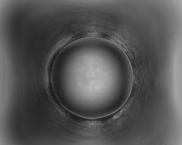 X0000090490245200707201542