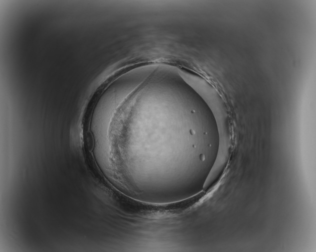X0000090490246200707201542