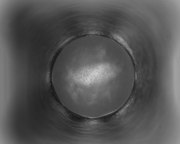 X0000090490249200707201542