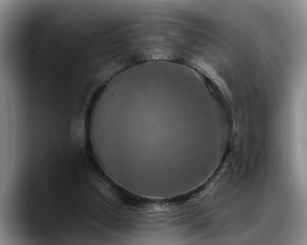 X0000090490250200707201542