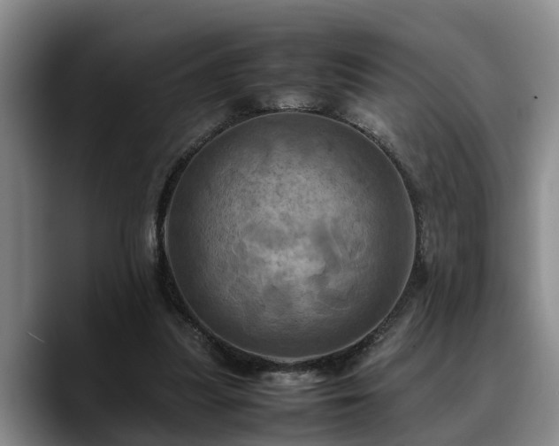 X0000090490251200707201542