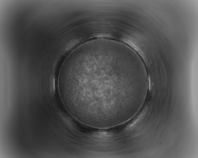 X0000090490253200707201542