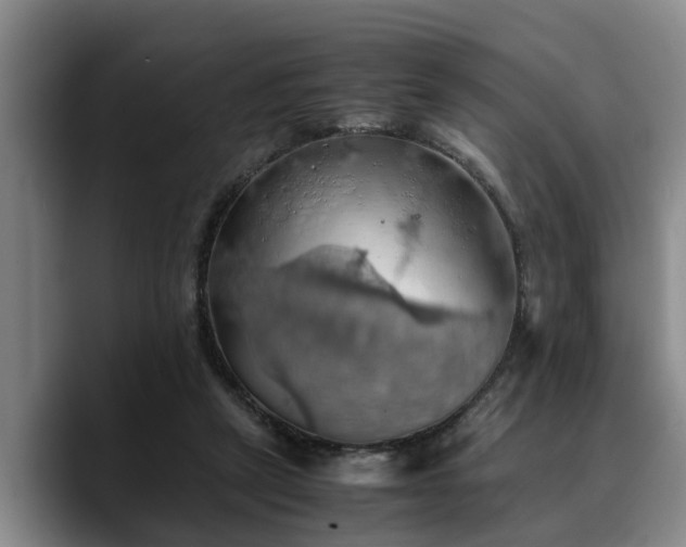 X0000090490257200707201542