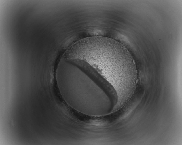 X0000090490259200707201542