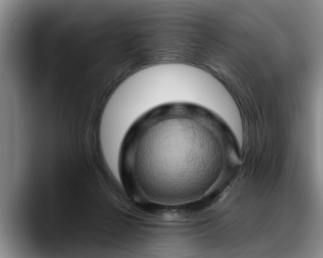 X0000090490264200707201542