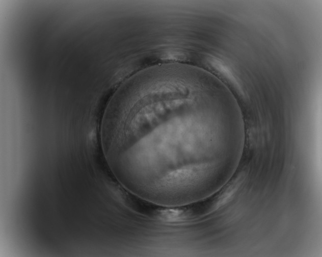 X0000090490265200707201542