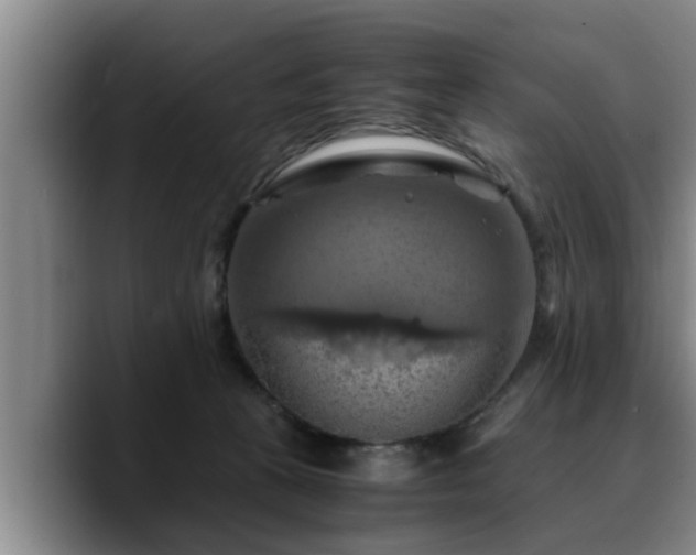 X0000090490273200707201543
