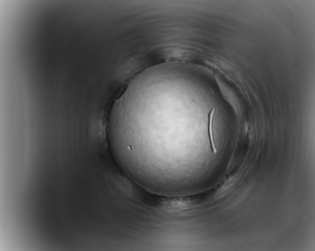 X0000090490282200707201543