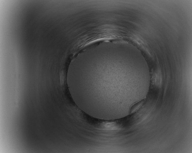 X0000090490283200707201543