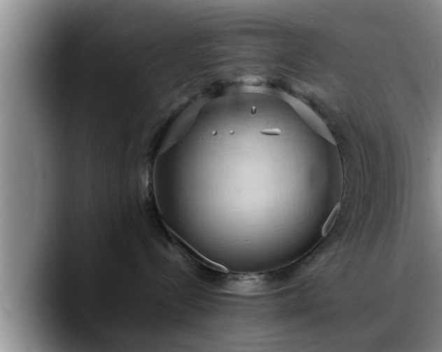 X0000090490288200707201543
