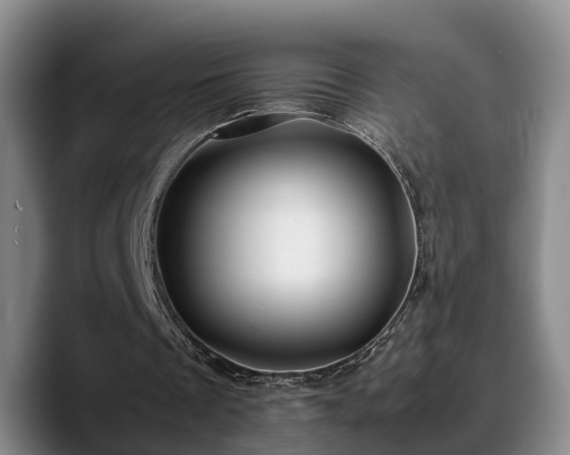 X0000090490289200707201542