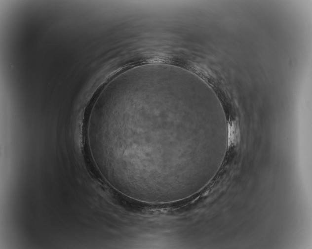 X0000090490291200707201542