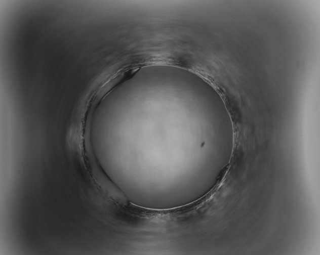 X0000090490293200707201542