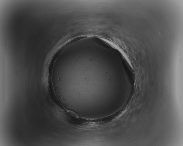 X0000090490295200707201542