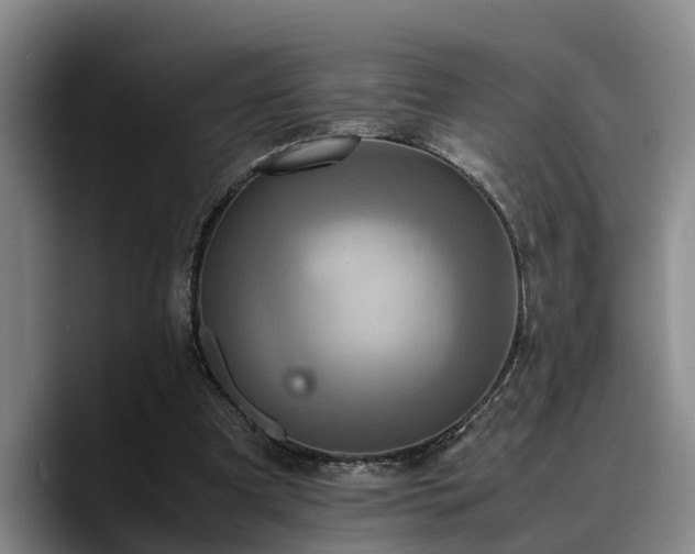 X0000090490297200707201542
