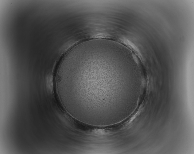X0000090490298200707201542
