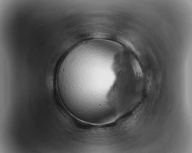 X0000090490299200707201542