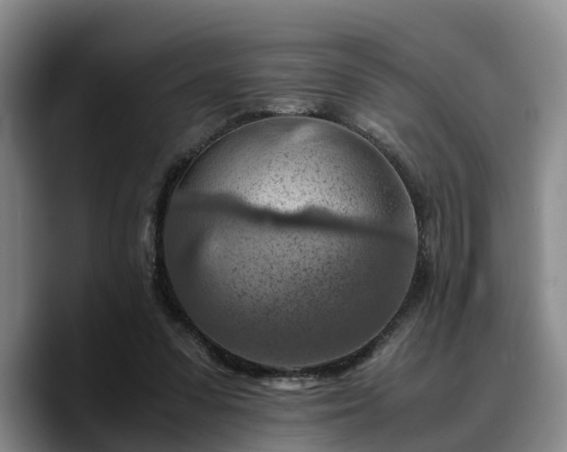 X0000090490303200707201542
