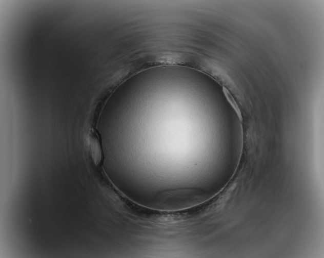 X0000090490305200707201542