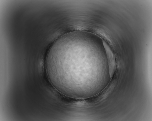 X0000090490306200707201542