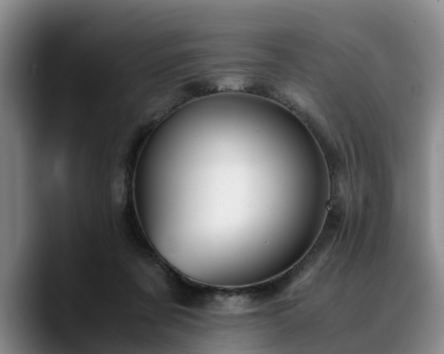 X0000090490311200707201542
