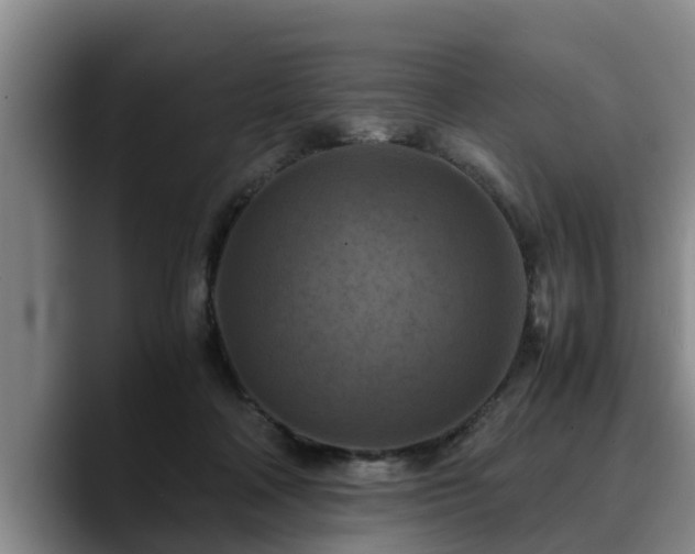 X0000090490314200707201542