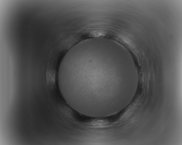 X0000090490315200707201542
