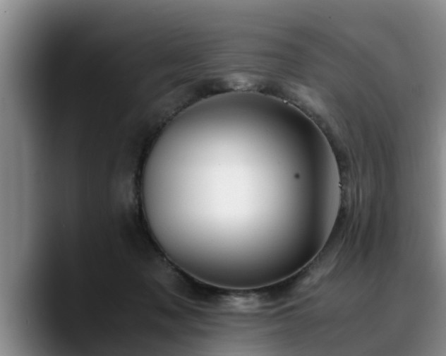 X0000090490317200707201542