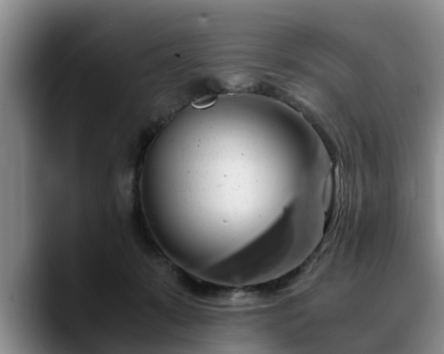 X0000090490319200707201542