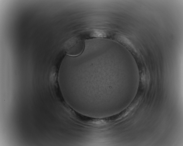 X0000090490322200707201542