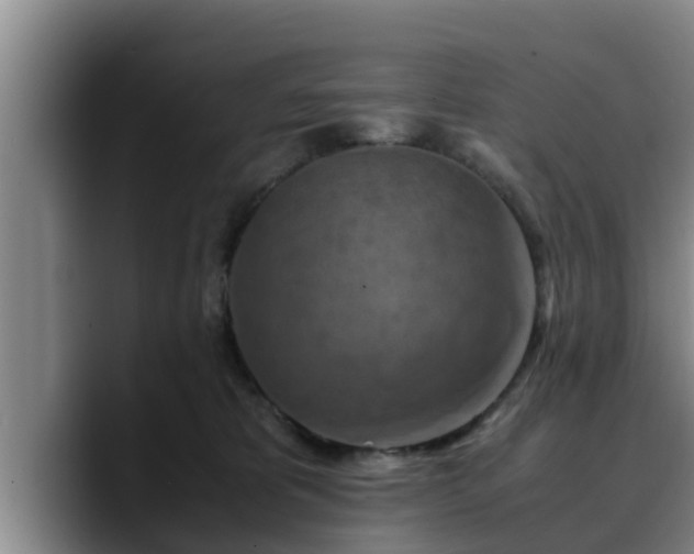 X0000090490325200707201542