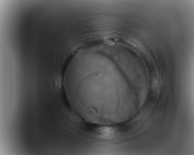 X0000090490326200707201542