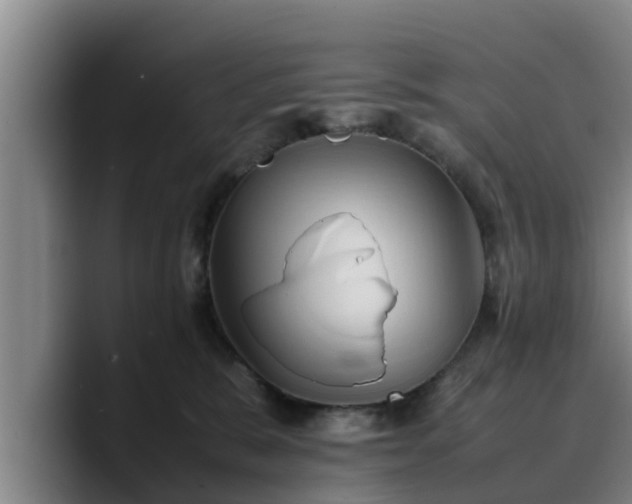 X0000090490327200707201542