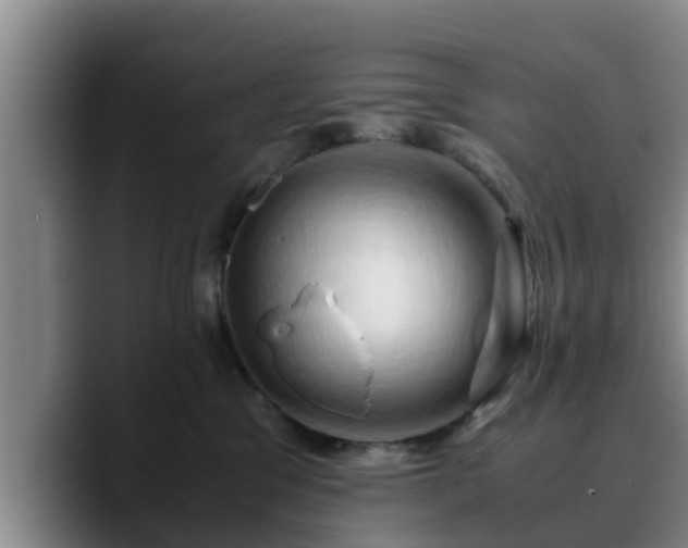 X0000090490329200707201542